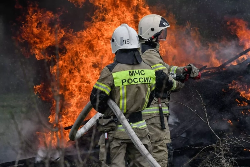 Пожар в зоопарке Ейска тушат спасатели